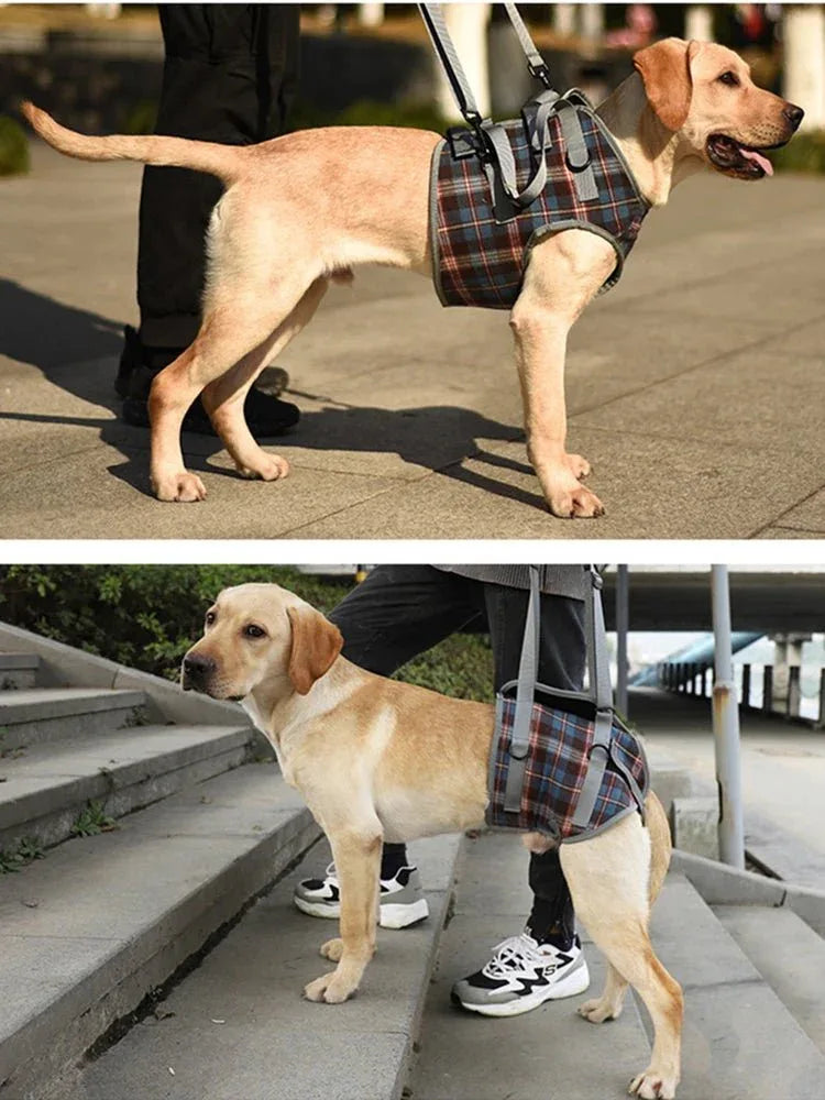 Dog Support Harness - Happy Tails