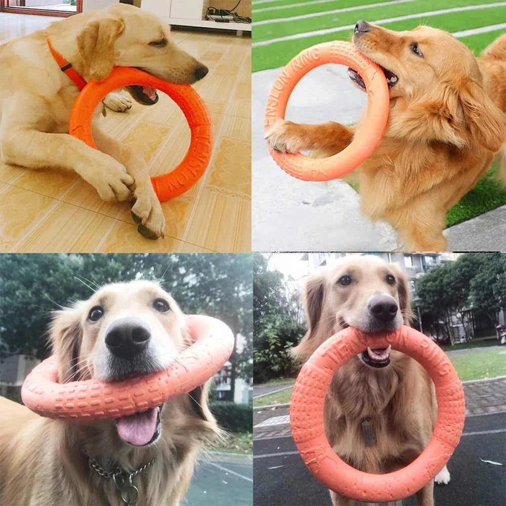 Ultimate Durable Ring - Happy Tails - paws & love