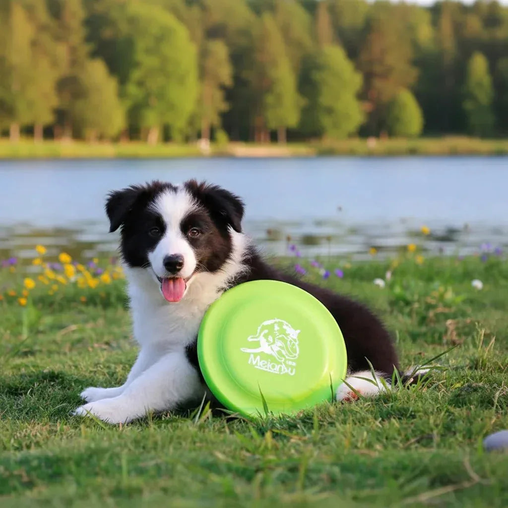Dog Training Disc - Happy Tails - paws & love