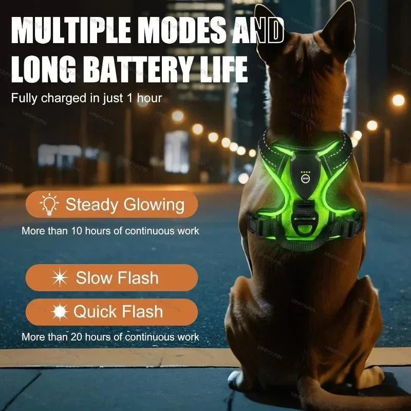LED Dog Harness - Happy Tails