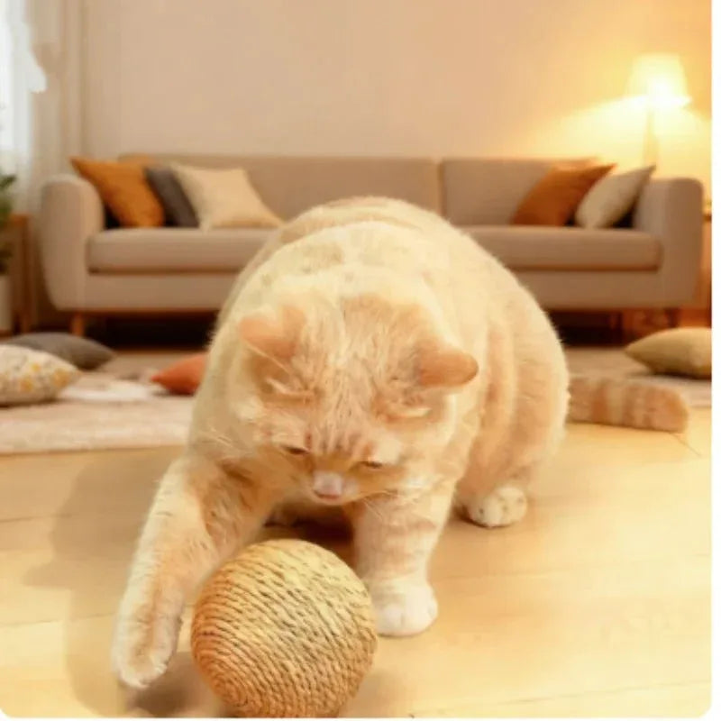 Purrfect Play Cat Scratching Ball - Happy Tails - paws & love