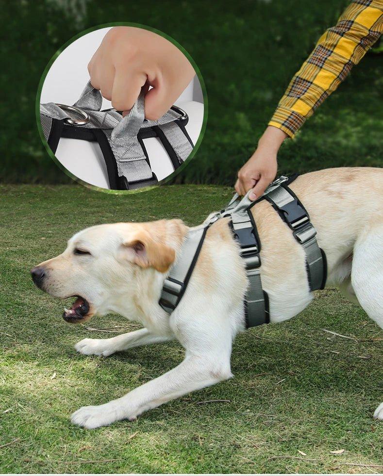 Reflective Pet Harness for Easy Control - Happy Tails