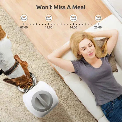 Automatic Pet Feeder - Happy Tails - paws & love