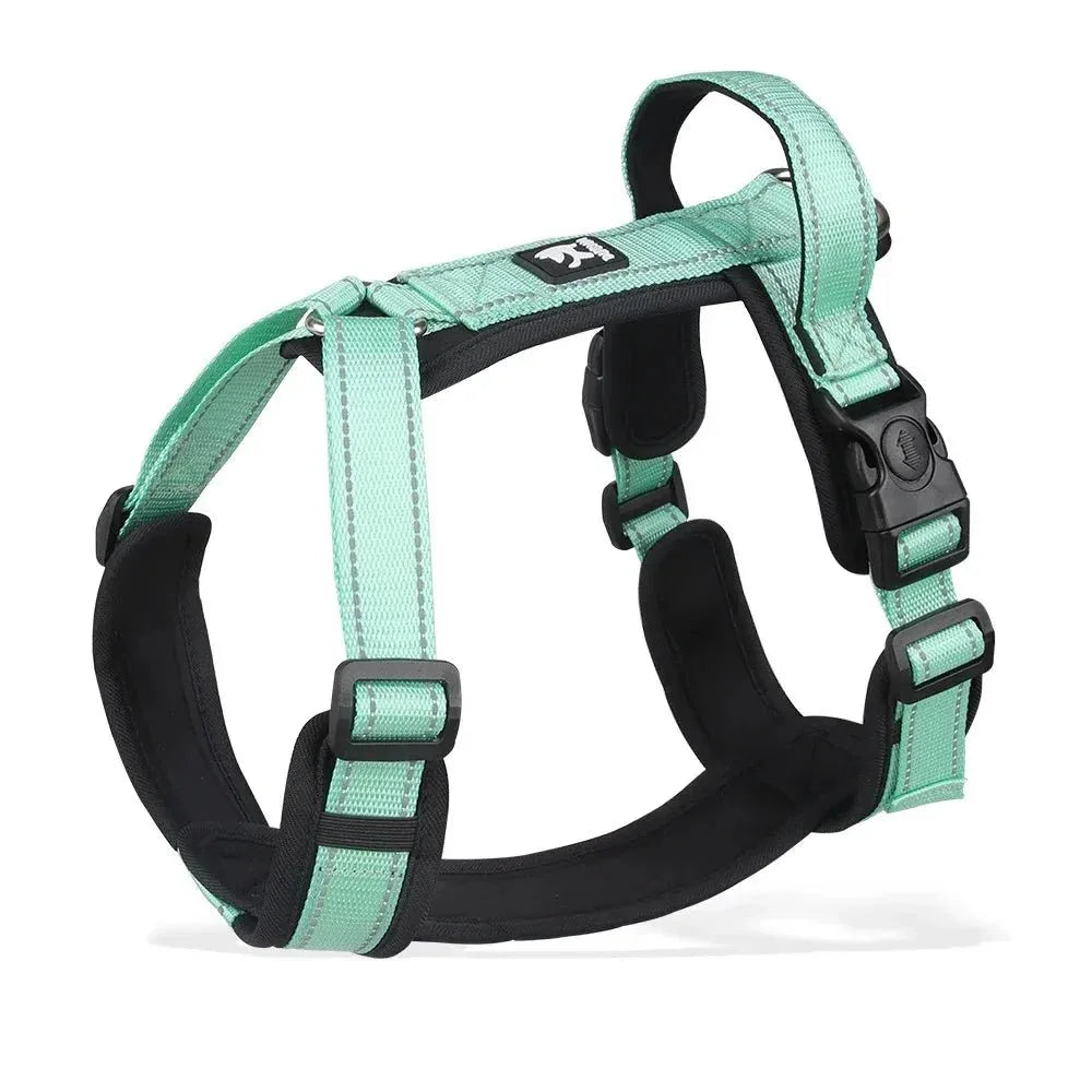 Harnesses and Wear Necklaces - Happy Tails