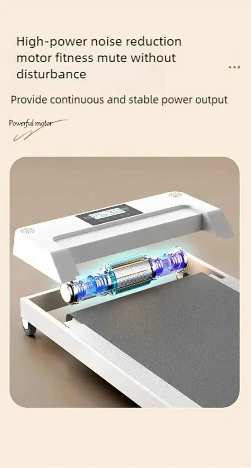 Pet Treadmill for Dogs and Cats - Happy Tails - paws & love