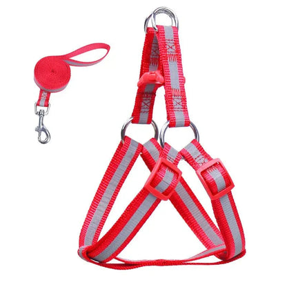 Dog Harness for Small Dogs - Happy Tails