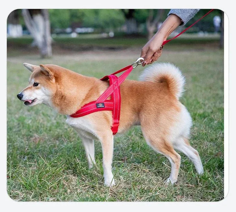 A Small Dog Harness for Comfort and Control - Happy Tails - paws & love
