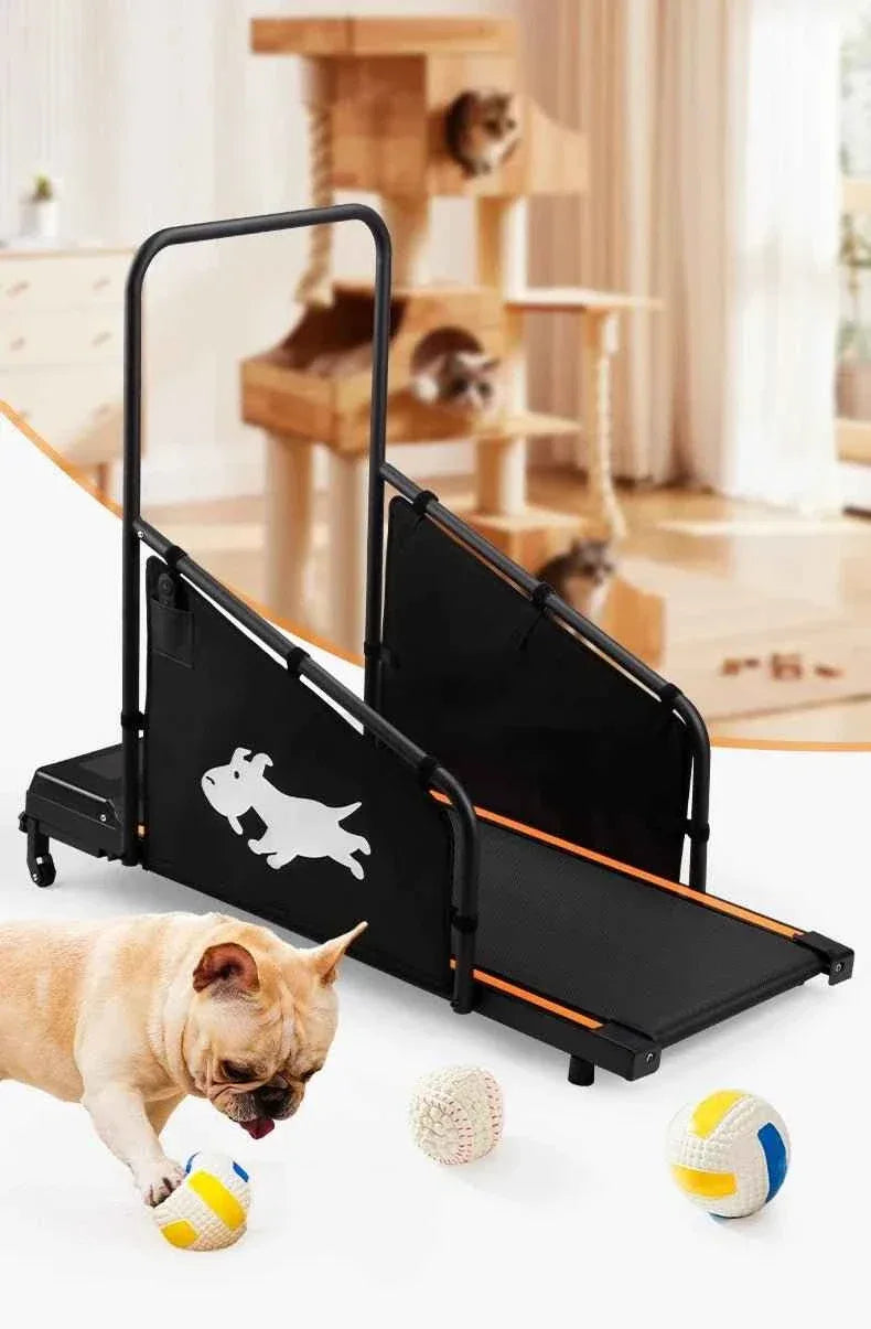 Pet Walking Machine for Indoor Exercise and Fitness - Happy Tails