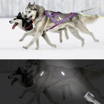 Dog Sledding Harness - Happy Tails