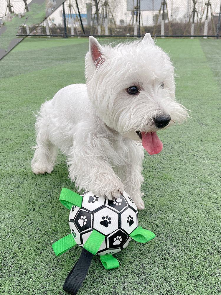 Dog Football Toy for Fun Playtime - Happy Tails - paws & love