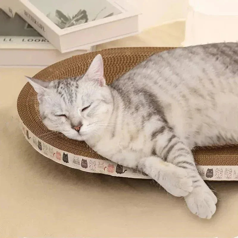 Cozy Paws Plush Cat Bed - Indulge Your Feline in Ultimate Comfort - Happy Tails - paws & love