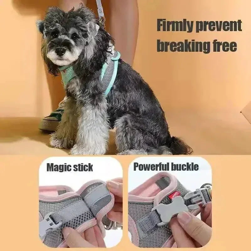 Ultimate Comfort Dog Harness - Happy Tails - paws & love