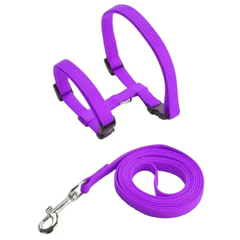 Kitten Adventures Harness & Leash Set - Happy Tails