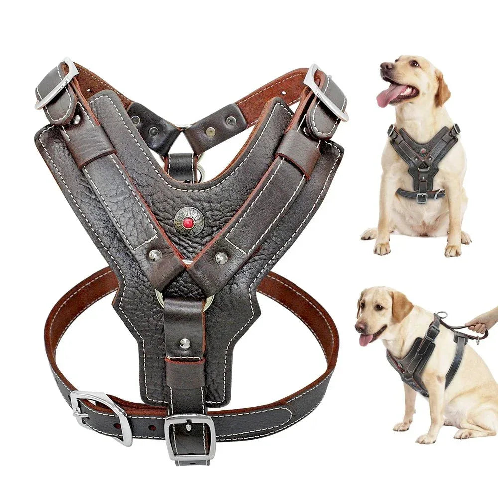 Pet Training Vest with Quick Control - Happy Tails