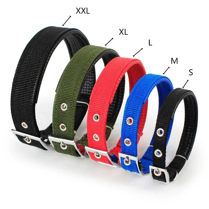 Solid Nylon Dog Collars - Happy Tails - paws & love