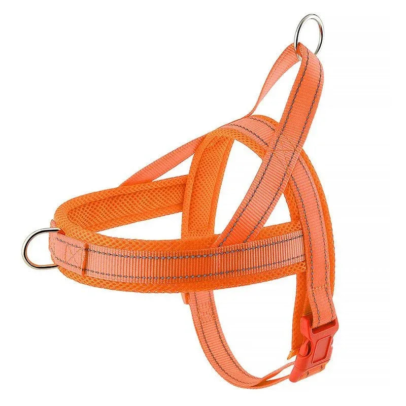 A Small Dog Harness for Comfort and Control - Happy Tails - paws & love
