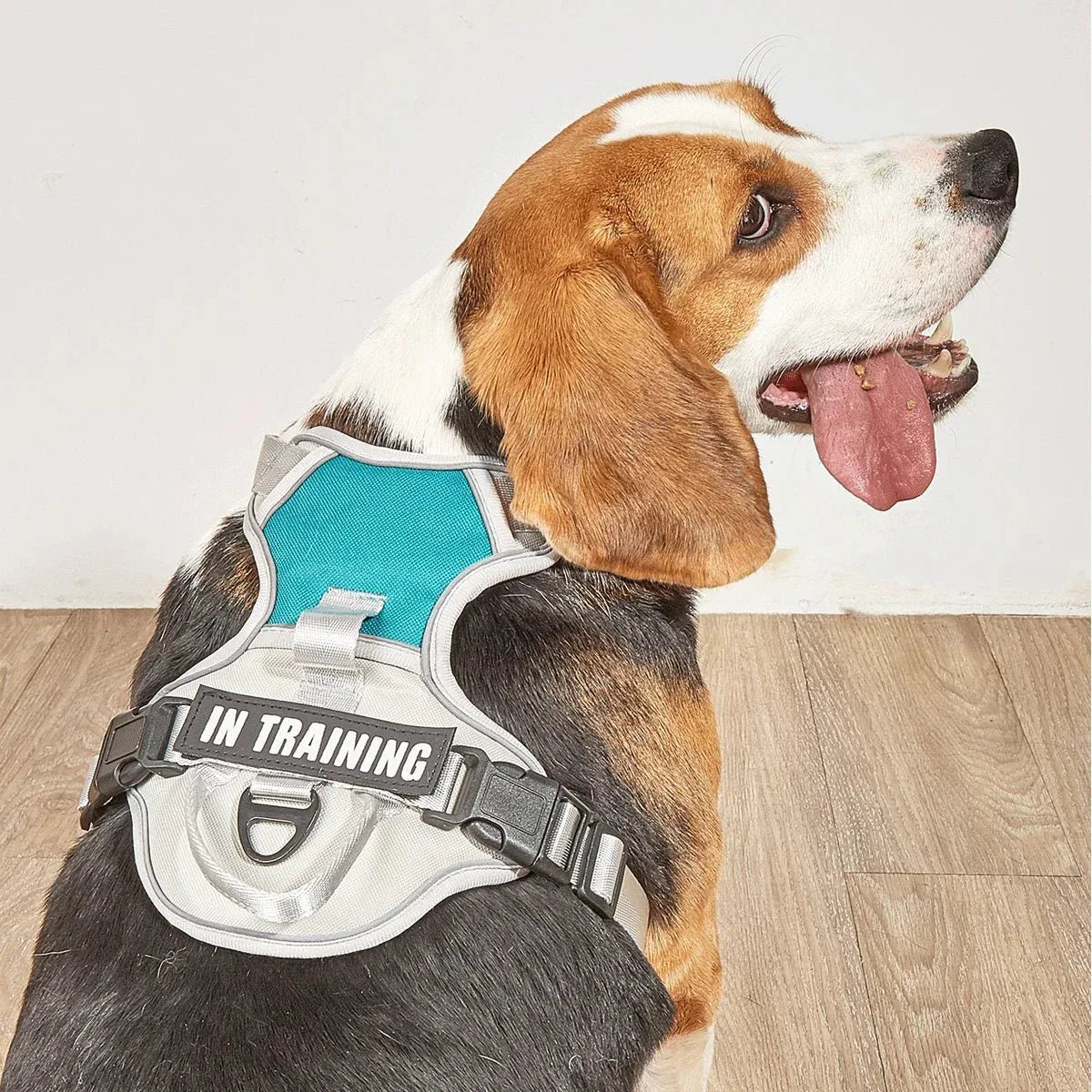 Dog Harness No Pull - Happy Tails