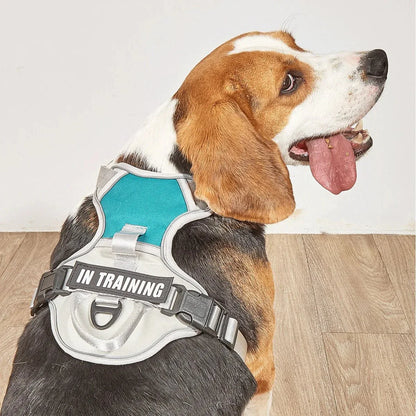 Dog Harness No Pull - Happy Tails