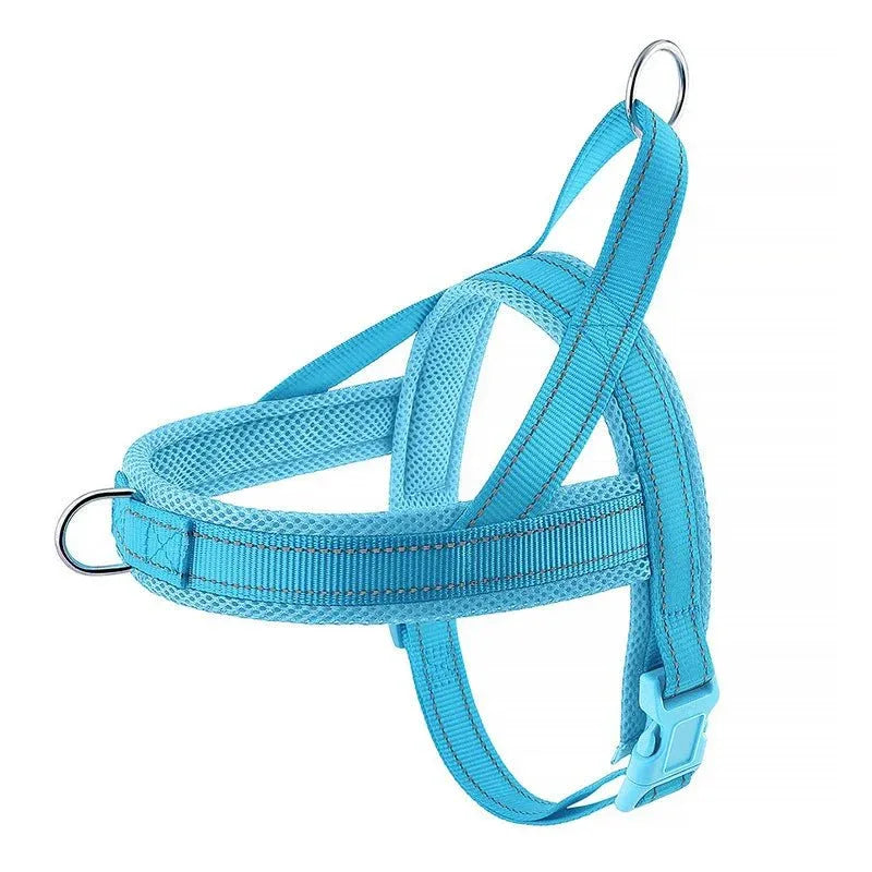 A Small Dog Harness for Comfort and Control - Happy Tails - paws & love
