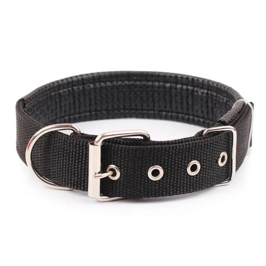 Solid Nylon Dog Collars - Happy Tails - paws & love