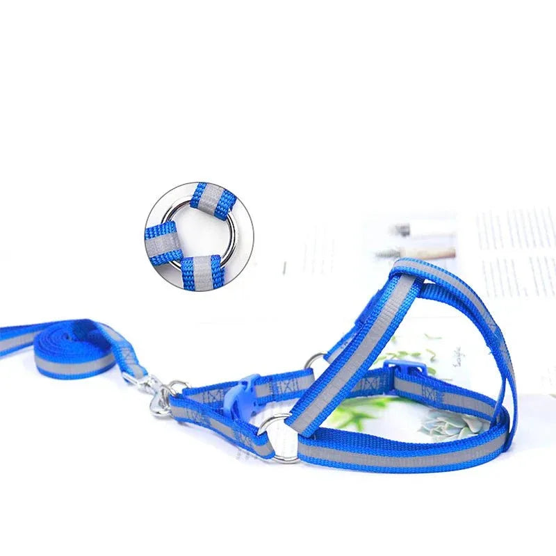 Dog Harness for Small Dogs - Happy Tails