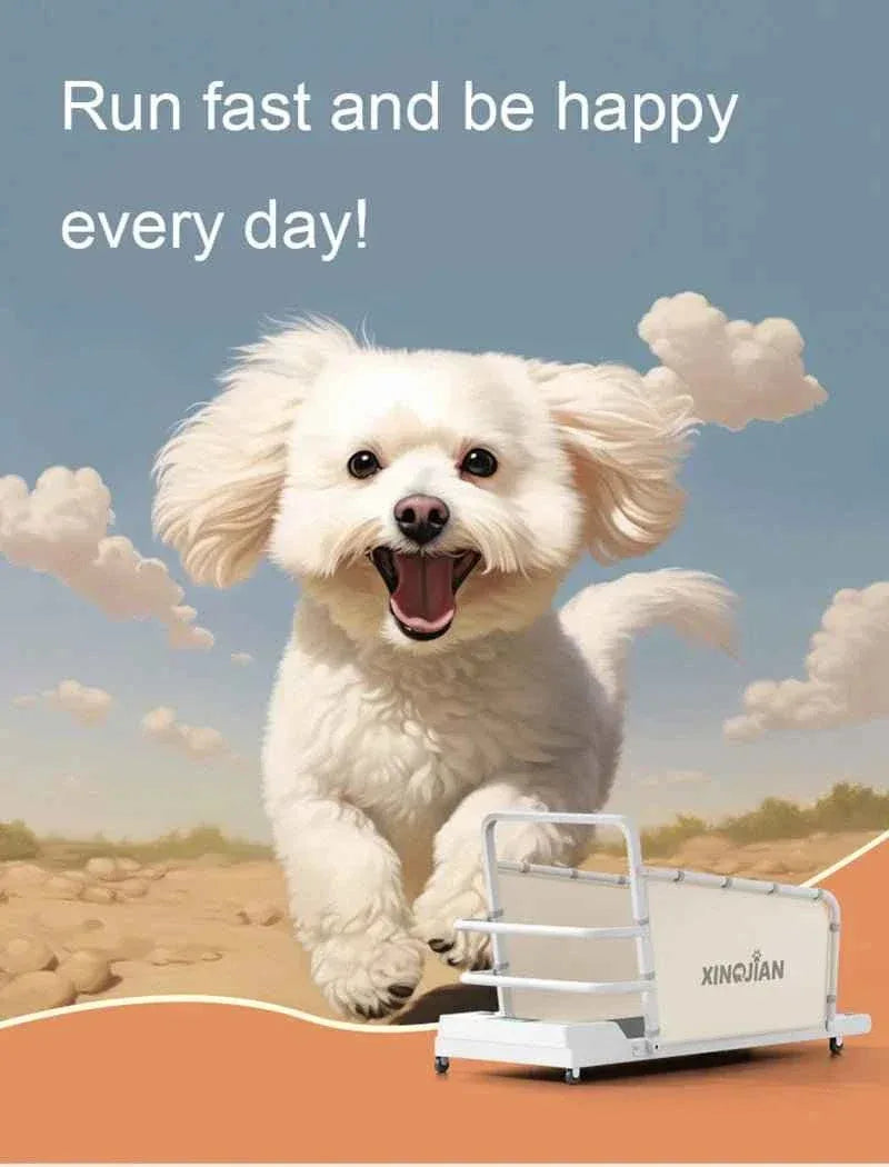 Pet Treadmill for Dogs and Cats - Happy Tails - paws & love