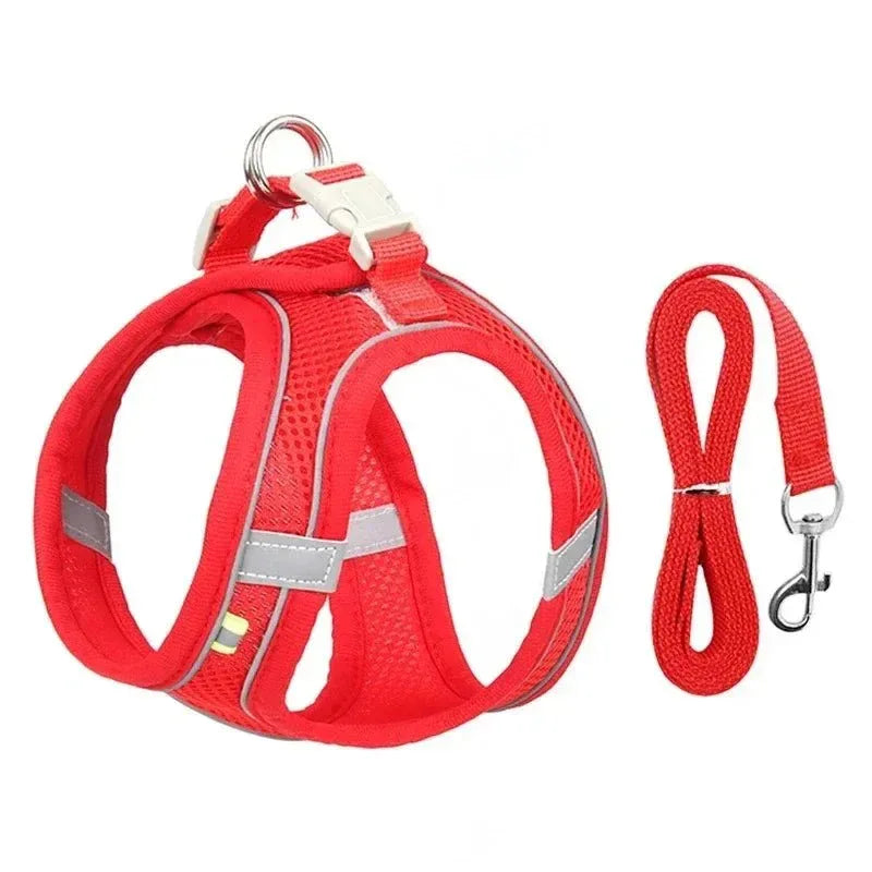 Ultimate Comfort Dog Harness - Happy Tails - paws & love