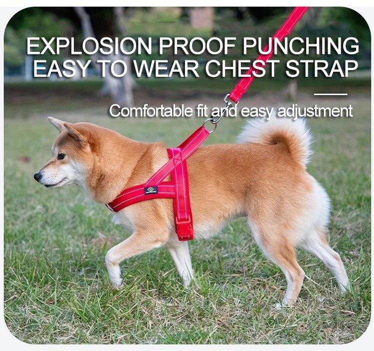 A Small Dog Harness for Comfort and Control - Happy Tails - paws & love