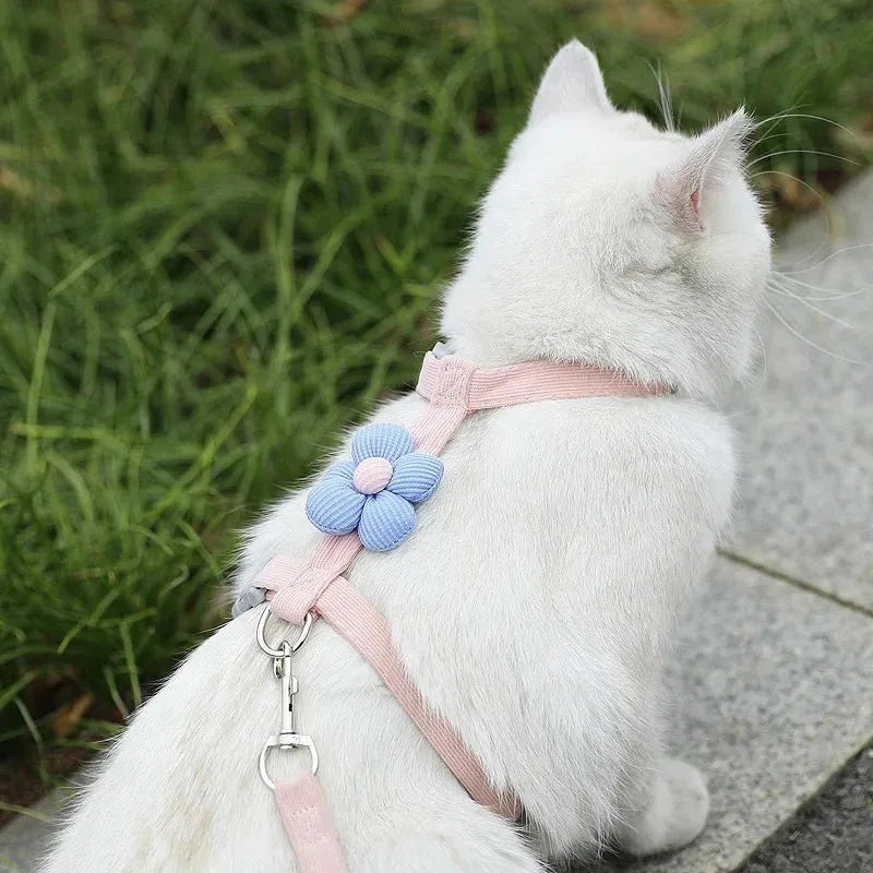 Cat Harness & Leash Set - Happy Tails - paws & love