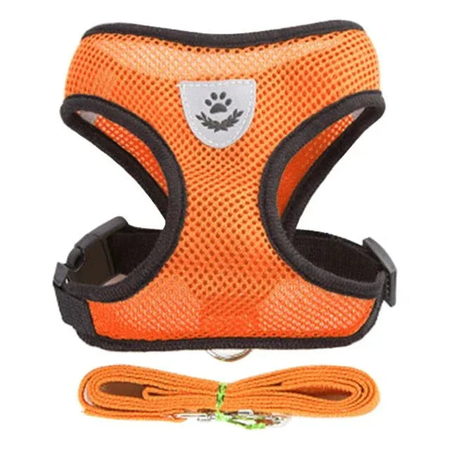 Cat Harness for Outdoor Adventures - Happy Tails - paws & love