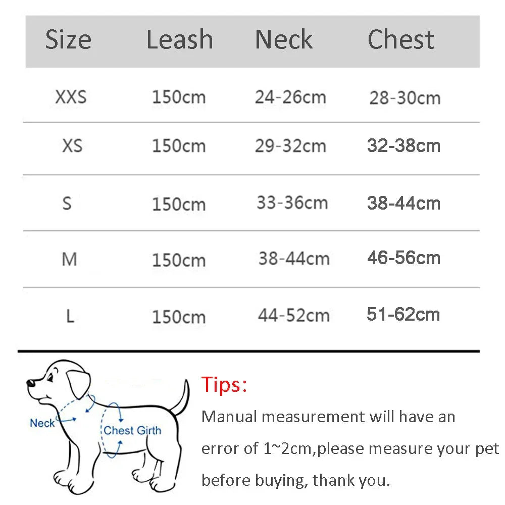 Leash & Harness Set for Small Dogs - Happy Tails