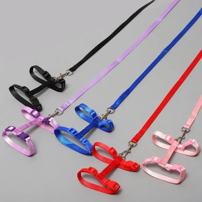 Kitten Adventures Harness & Leash Set - Happy Tails
