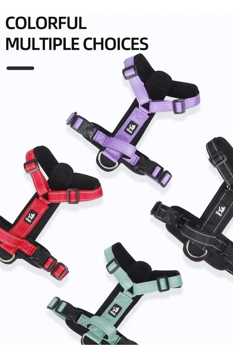 Harnesses and Wear Necklaces - Happy Tails