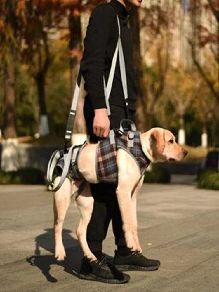 Dog Support Harness - Happy Tails