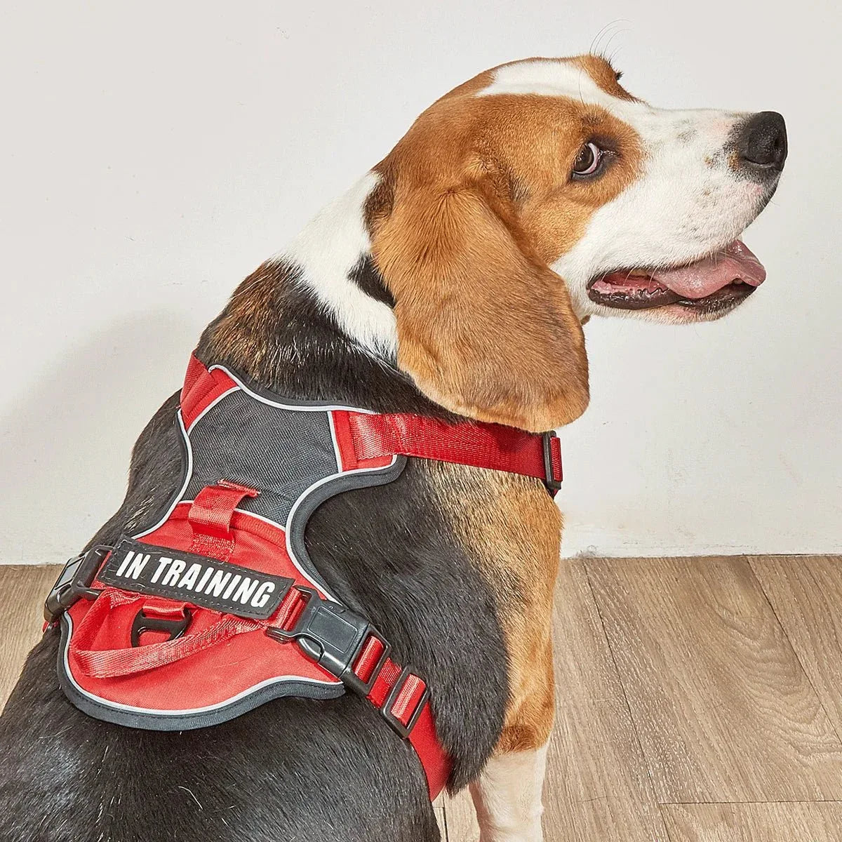 Dog Harness No Pull - Happy Tails