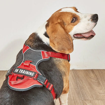 Dog Harness No Pull - Happy Tails