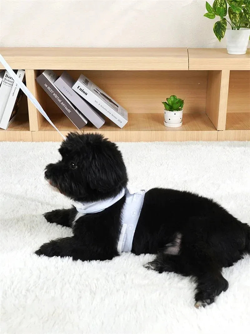 Cat Dog Harness Necklace for Stylish Pet Walks - Happy Tails - paws & love