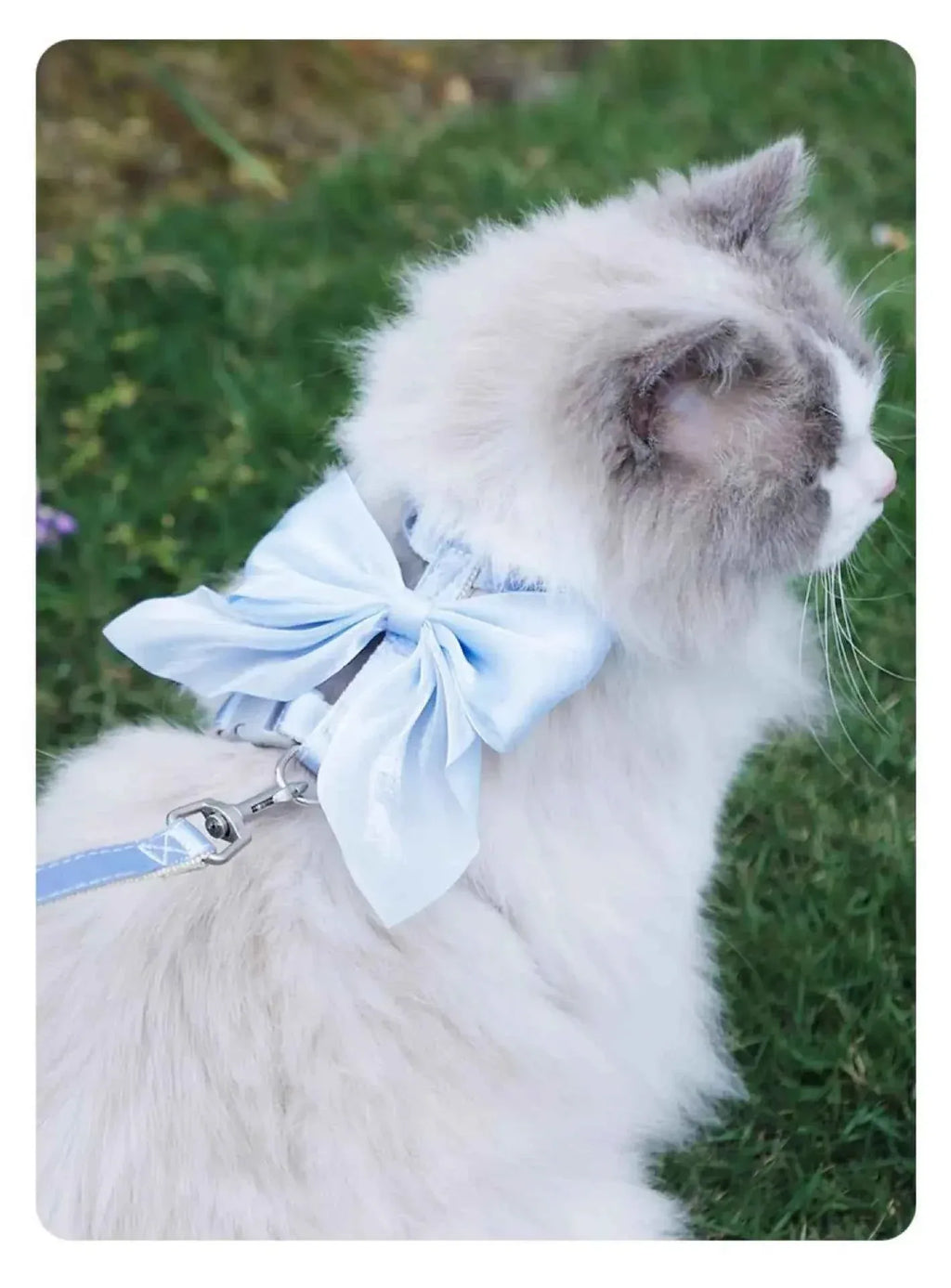 Adjustable Pet Harness - Happy Tails - paws & love