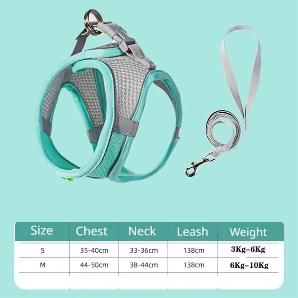 Dog Harness & Collar Set - Happy Tails - paws & love