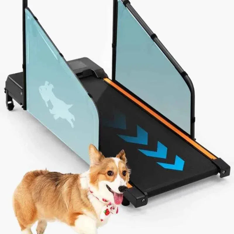 Pet Walking Machine for Indoor Exercise and Fitness - Happy Tails