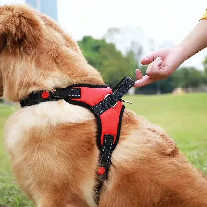 Saddle Dog Harness - Happy Tails