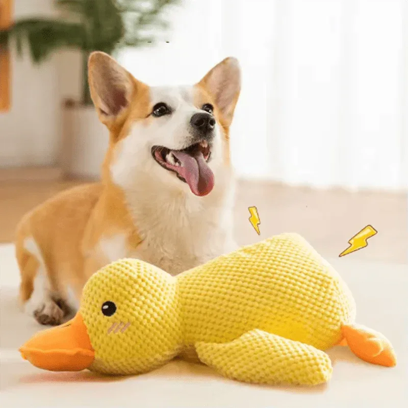 Hug a Duck Plush Toy - Ultra Soft - Happy Tails