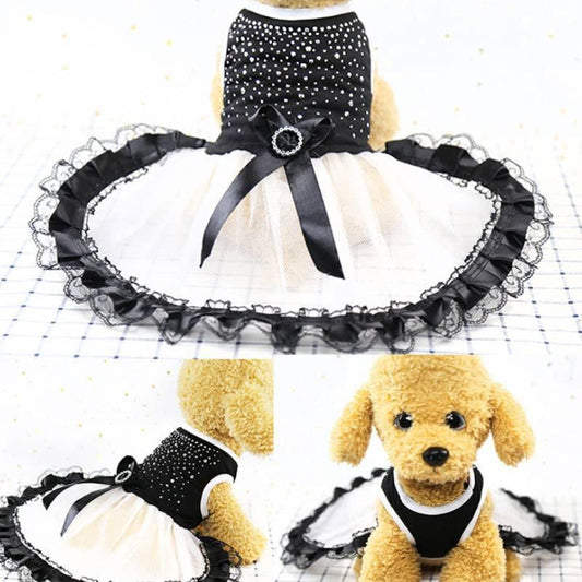 Spring Summer Dog Fashion - Happy Tails - paws & love