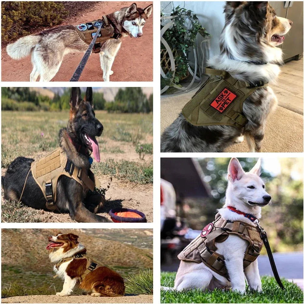 Military Dog Harness for Training - Happy Tails