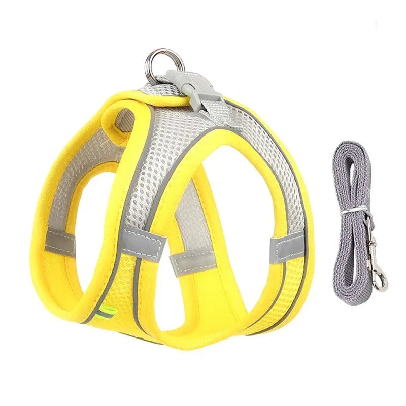Leash & Harness Set for Small Dogs - Happy Tails