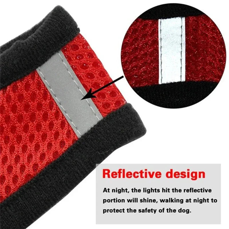Cat & Dog Harness - Happy Tails - paws & love