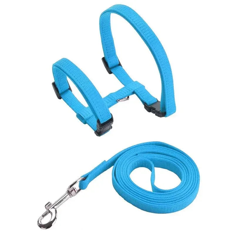 Kitten Adventures Harness & Leash Set - Happy Tails
