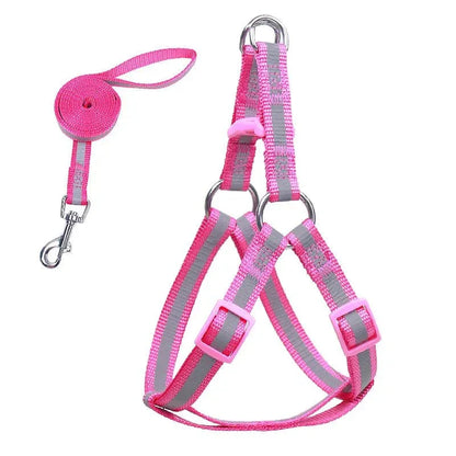 Dog Harness for Small Dogs - Happy Tails