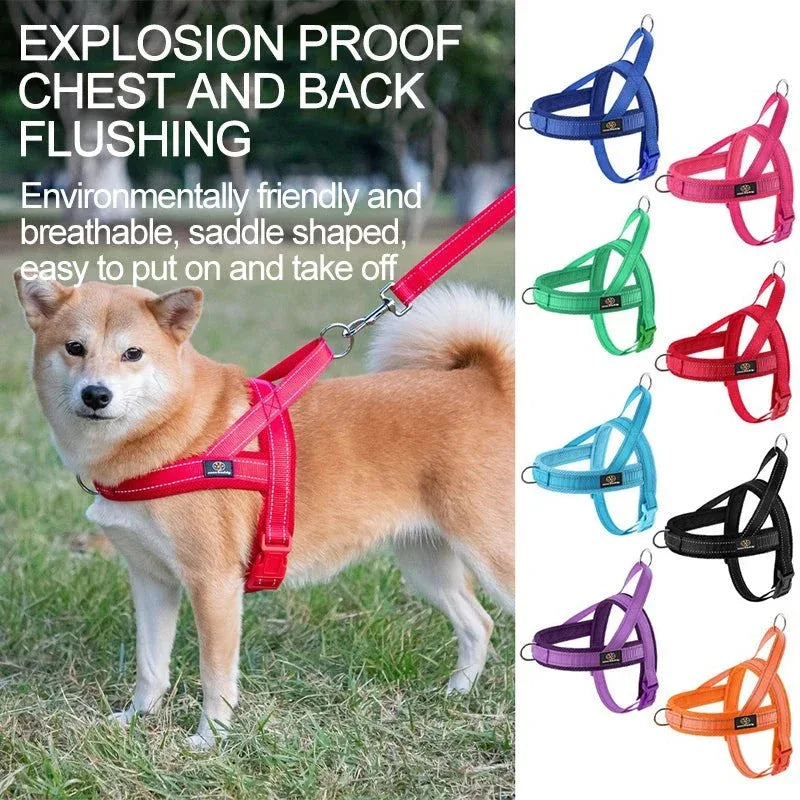 A Small Dog Harness for Comfort and Control - Happy Tails - paws & love