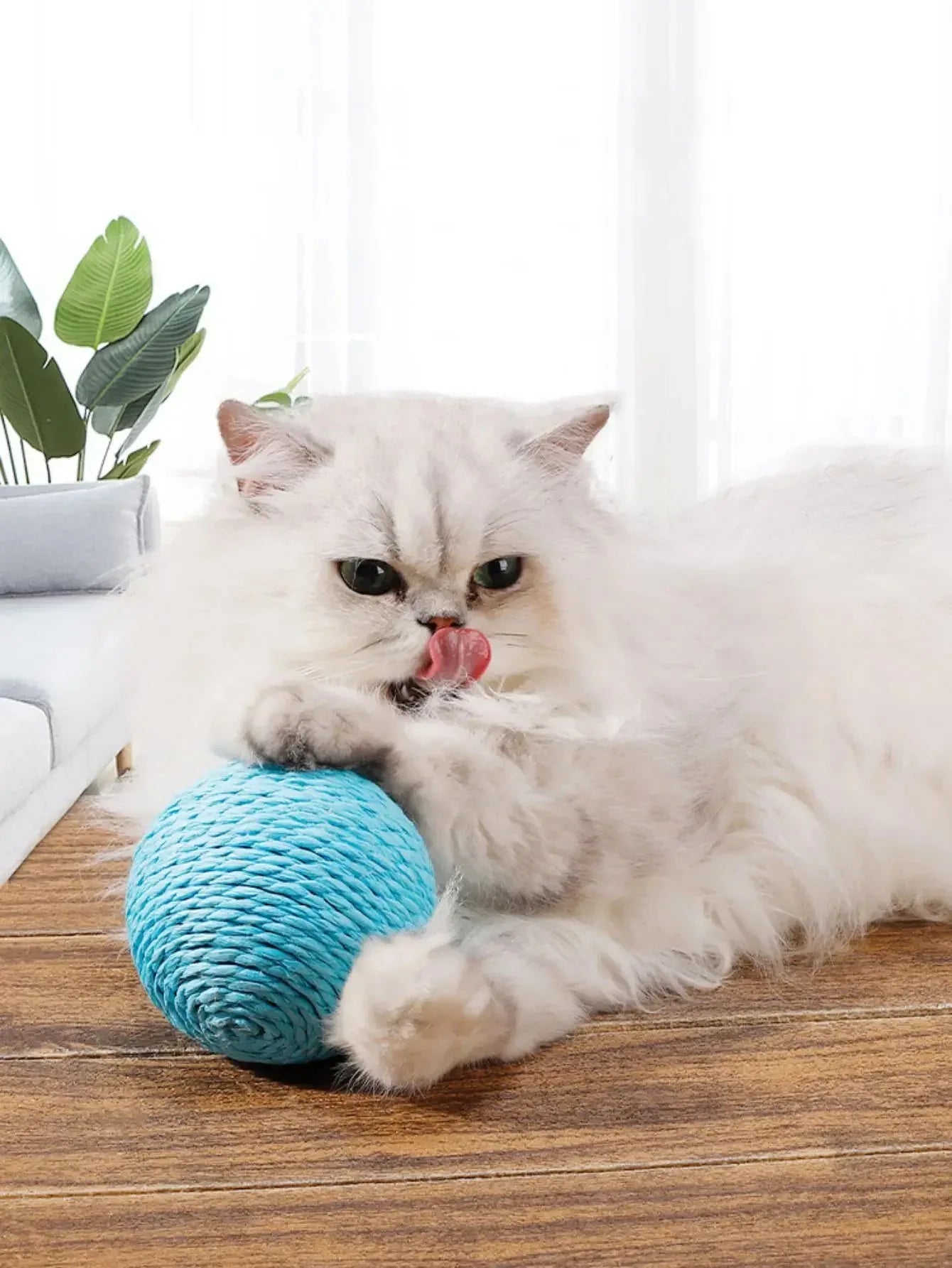 Cat Scratching Ball - Happy Tails - paws & love